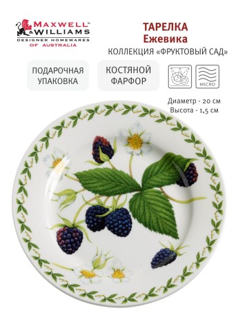 Тарелка Ежевика, 20 см. Maxwell & Williams
