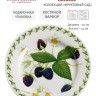 Тарелка Ежевика, 20 см. Maxwell & Williams