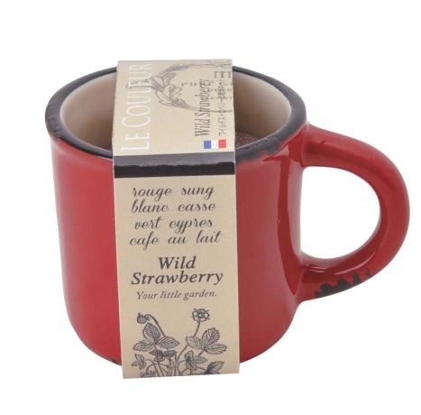 Набор для выращивания лесной земляники Le Couleur