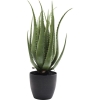 Предмет декоративный Aloe, коллекция "Алоэ" 20*69*20, Полистирол, Полиуретан, Сталь, Бетон, Зеленый, Черный