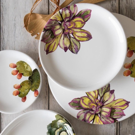 Тарелка десертная 2 штуки Cactus, 20.5 см. Nuova Cer