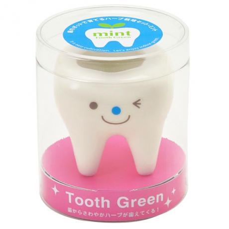 Набор для выращивания мяты Tooth Green