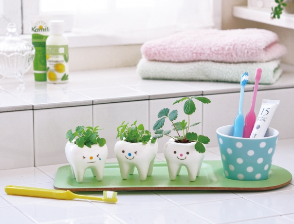 Набор для выращивания мяты Tooth Green