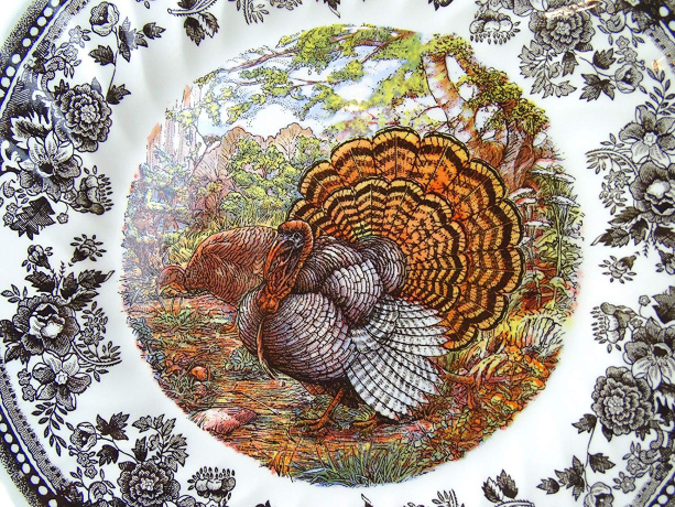 Тарелка суповая, 20 см. Majestic Beauty Churchill