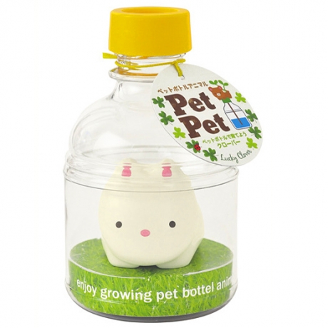 Набор для выращивания клевера самополивающийся Pet Pet кролик
