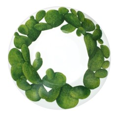 Тарелка суповая, 24 см, CACTUS Taitu