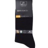 Носки мужские Dreamer ASM-0003  41-44 черный (Artsocks)