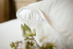 Наволочка PALETTE GRASS на молнии 50х68 Цвет сливочный