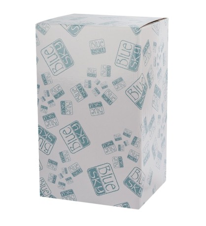 BS-245 Ваза "Голубые маки"