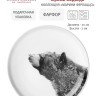 Тарелка Чёрный медведь, 20 см. Maxwell & Williams