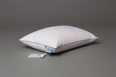 Подушка GRAY FAMILIE DOWN средняя 50х68