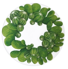 Тарелка обеденная, 28 см. CACTUS Taitu