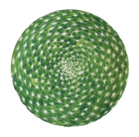 Тарелка десертная, 23 см. CACTUS Taitu