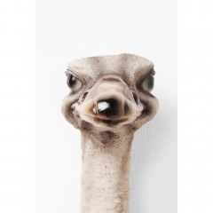Украшение настенное Ostrich, коллекция "Страус" 25*72*19, Полирезин, Мультиколор