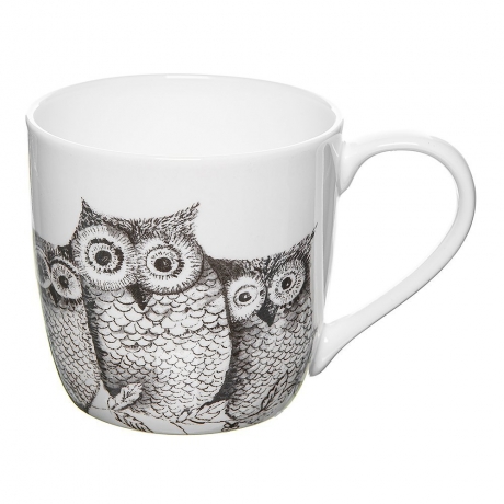 Кружка Жители леса - совы, 415 мл. Rose of England