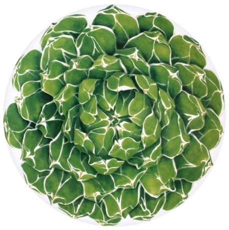 Блюдо сервировочное, 31 см. CACTUS Taitu