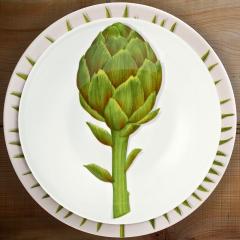 Тарелка суповая Vegetable, 20,5 см. цвет: зеленый, FREEDOM Taitu