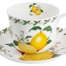 Чашка с блюдцем Лимон в подарочной упаковке, 0.48 л. Maxwell & Williams