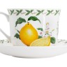 Чашка с блюдцем Лимон в подарочной упаковке, 0.48 л. Maxwell & Williams
