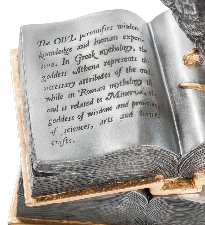 WS- 48 Шкатулка "Сова"