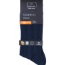 Носки мужские Summer Time ASUM-0011  43-44 синий (Artsocks)