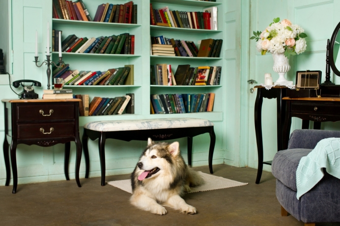 Банкетка в черном цвете