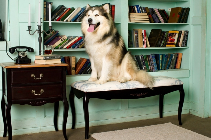 Банкетка в черном цвете