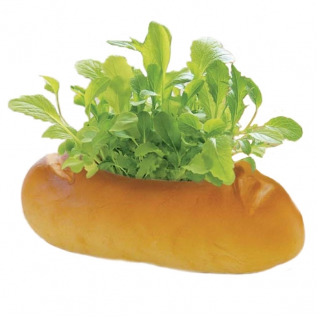 Набор для выращивания салата Green Bread багет