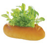 Набор для выращивания салата Green Bread багет