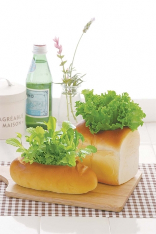 Набор для выращивания салата Green Bread багет