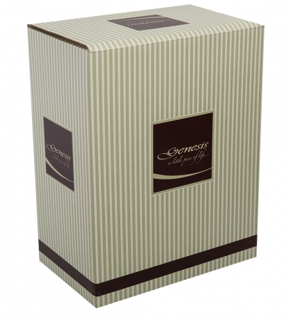 WS-987 Статуэтка "Мать с ребенком"