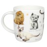 Кружка "Разнообразие природы" - Котята, 400 мл. Koenitz