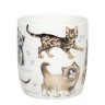 Кружка "Разнообразие природы" - Котята, 400 мл. Koenitz