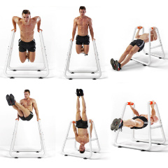 Брусья для отжиманий DFC G011