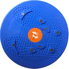 Твистер детский тренажер DFC VT-2100