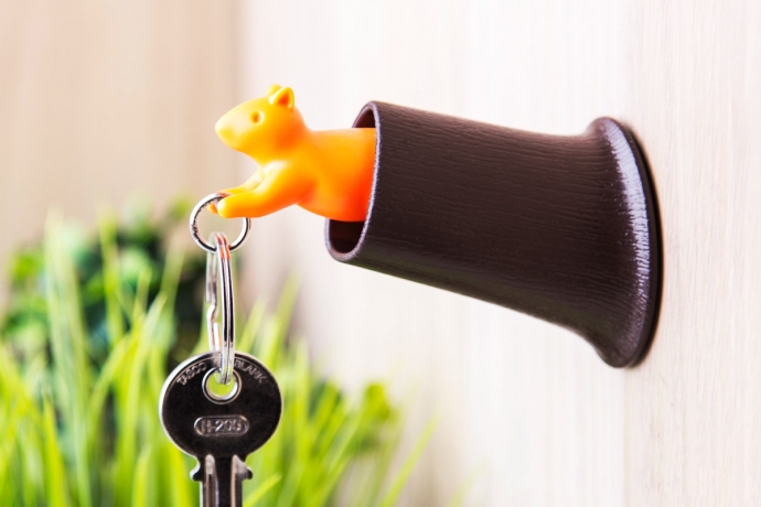 Брелок+держатель для ключа Squirrel, коричневый/оранжевый, Qualy