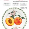 Тарелка Абрикос, 20 см. Maxwell & Williams