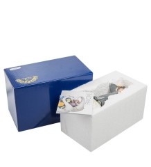 CMS-21/ 5 Муз. статуэтка "Выпускница" (Pavone)