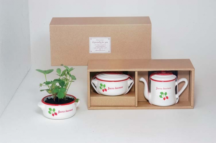 Набор подарочный для выращивания Petit-coco Сервиз