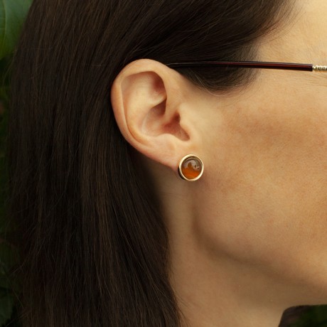 Пусеты TIGER EYE