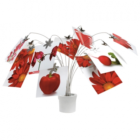 Держатель для фотографий petal настольный, белый, Umbra