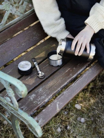 Термос для еды, 600 мл. SagaForm