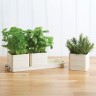 Набор горшков для растений LIVING NOSTALGIA (3 горшка, поддон) Kitchen Craft