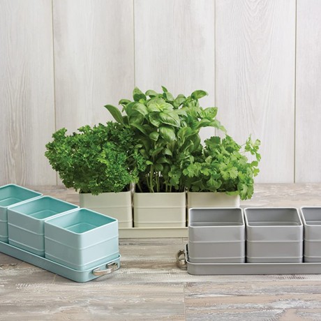 Набор горшков для растений LIVING NOSTALGIA (3 горшка, поддон) Kitchen Craft