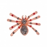Брошь Паук FAN-07095 BW/R/RG Shadore