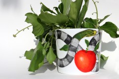 Стакан для хранения и сервировки TEMPTATION, 13,5 см. RED Taitu