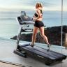 Беговая дорожка NordicTrack Commercial 2450