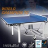 Теннисный стол Donic World Champion TC, синий