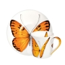 Чашка с блюдцем кофейная Butterfly, 100 мл. цвет: оранжевый, FREEDOM Taitu