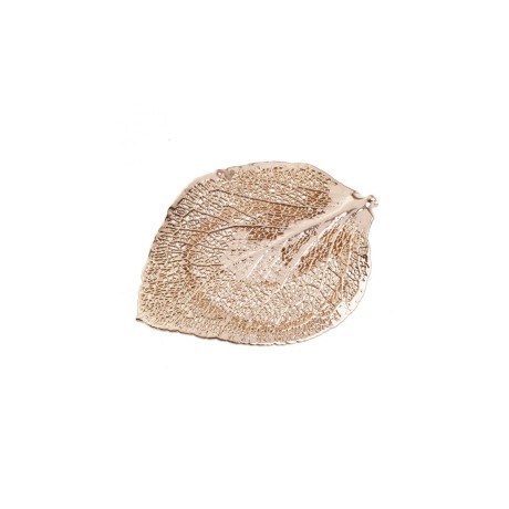 Зажим Денежный Лист